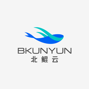 深圳北鲲云计算有限公司